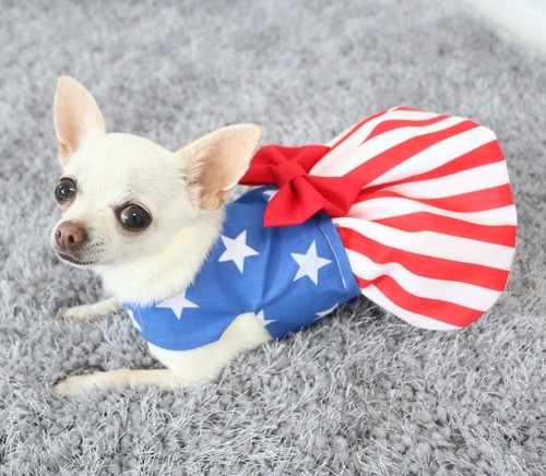 Handmade Dog Dress For Small Dogs - American Independence Day - Puppy Chihuahua  - Picture 1 of 6