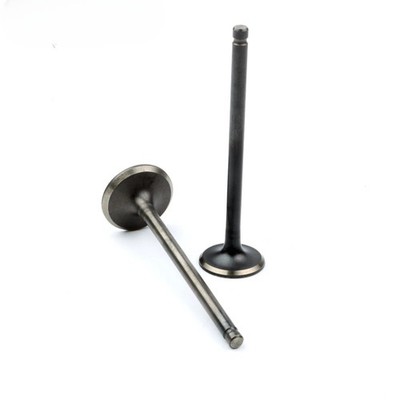 Scooter Intake & Exhaust Valves For SYM GR125 Symphony Sr Orbit2 Fiddle2 Jet4
