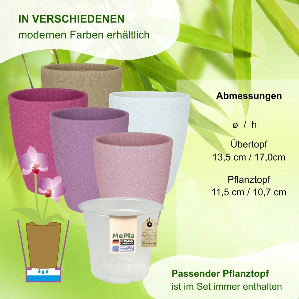 MePla - 2 Stück - Orchideenübertopf 500 lizzard + Pflanztopf - Bild 2 von 4