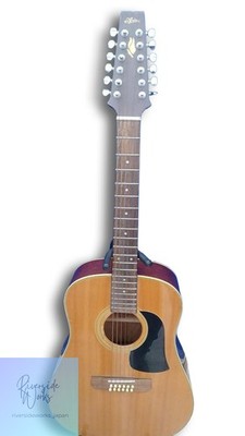 Aria Akustikgitarre AW200T