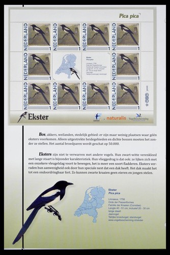 NETHERLANDS 74 Sheets MNH Dutch BIRDS Fauna Topical Stamp Collection - 第 10/12 張圖片