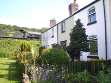 Holiday Cottage North Yorkshire nr Whitby-wildlife/walks/locos week beg Apr 18th