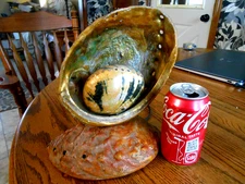 Rare Beautiful Vin. Cliff House Double Abalone Shell Vintage  Light Lamp