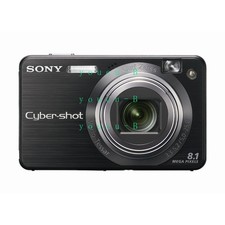 Sony Cyber-shot DSC-W150 Digital Camera 8.1MP Maximum Resolution Vintage Black