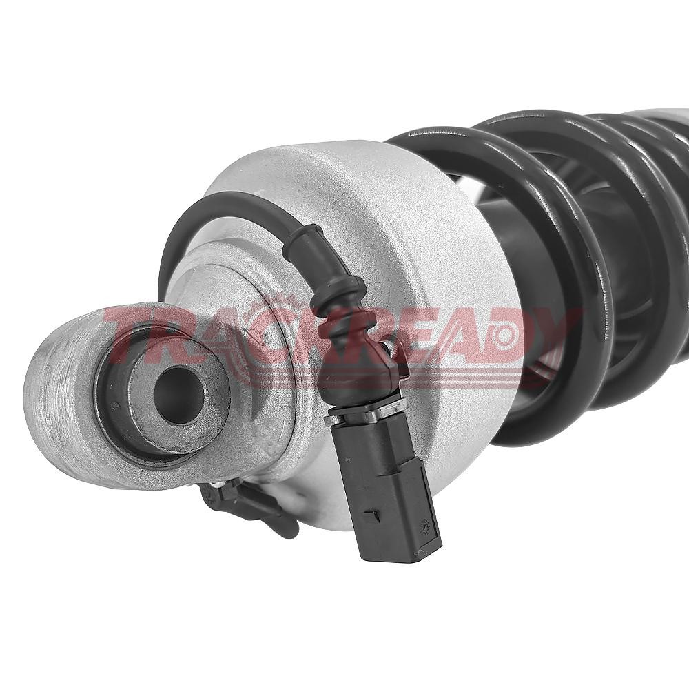 Audi R8 2014-2019 FRONT+LEFT, RIGHT Strut assembly P/N 420412020AJ
