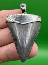 Fossil Shark Tooth Pendant – Great White Shark Tooth with Sterling Silver Cap