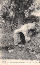 77-FONTAINEBLEAU LA FORET CHAISE MARIE MONT USSY-N�5166-E/0069