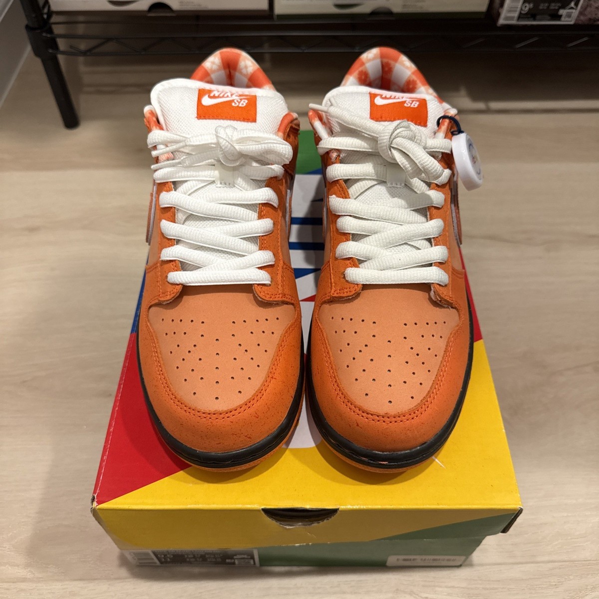 Size 9.5 - Concepts x Nike Dunk SB Special Box Low Orange Lobster