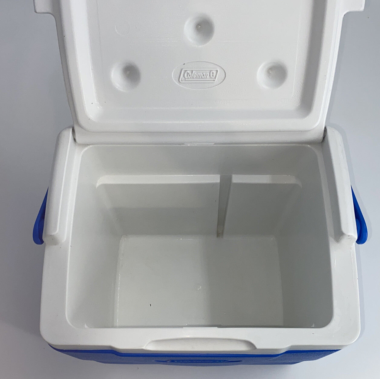 Vintage Coleman Excursion 9 QT Cooler Model 6209 Blue White Made in USA