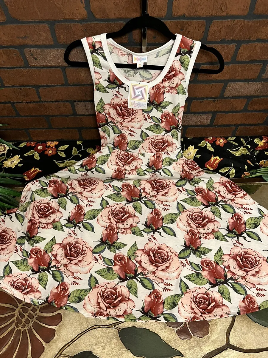 Lularoe Nicki dress Size XS New With Tags Beautiful Floral Rare