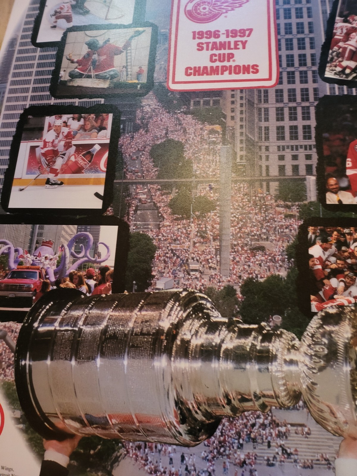 Picture 5 of 14