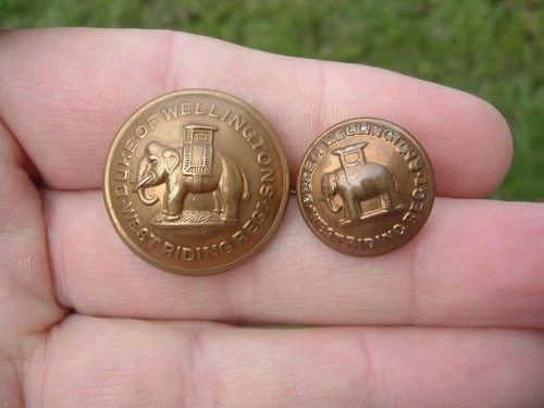 WW1 / WW2 Duke of Wellingtons West Riding Regiment Military Buttons.