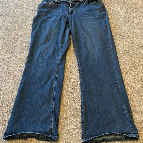 Ashley Stewart Womens Dark Wash Perfect 