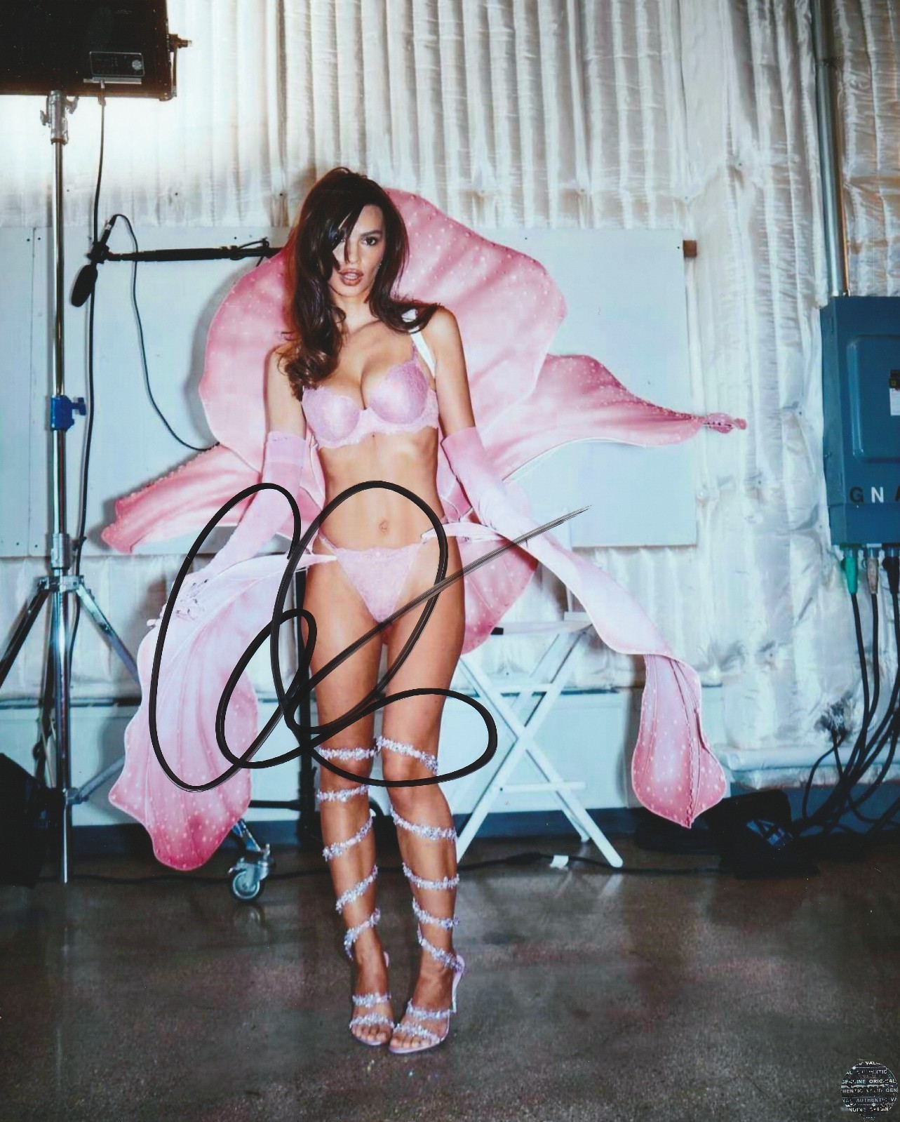 Signed Emily Ratajkowski Autographed Super Sexy Hot 8x10 Photo with COA/Hologram