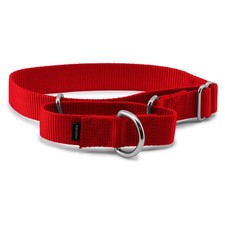 PetSafe Martingale Dog Collar Red 1 inch Medium Durable Nylon Vet Recommended