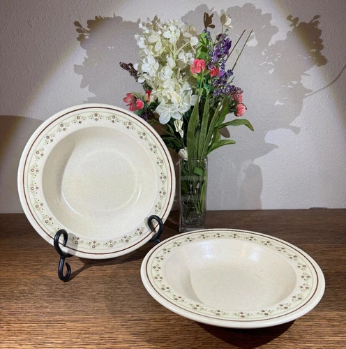 Anchor Hocking Chantilly Soup Cereal Bowls Rimmed Stoneware 8 1/4" Set of 2 EUC