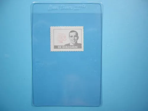 1969/70 O-PEE-CHEE TOPPS NHL STICKER STAMP HOCKEY CARD INSERT ED GIACOMIN OPC