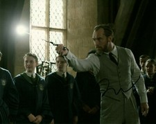 Jude Law Fantastic Beasts Autographed Signed 8x10 Photo COA CA32