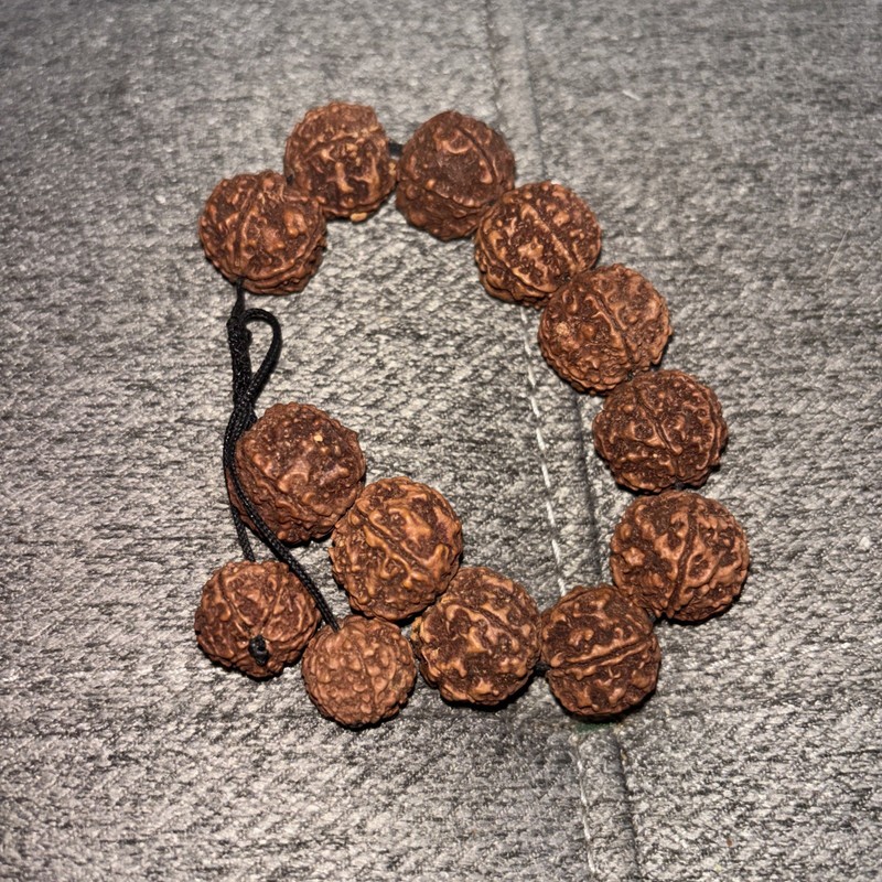 Nepal 5 Mukhi Rudraksha Bracelet