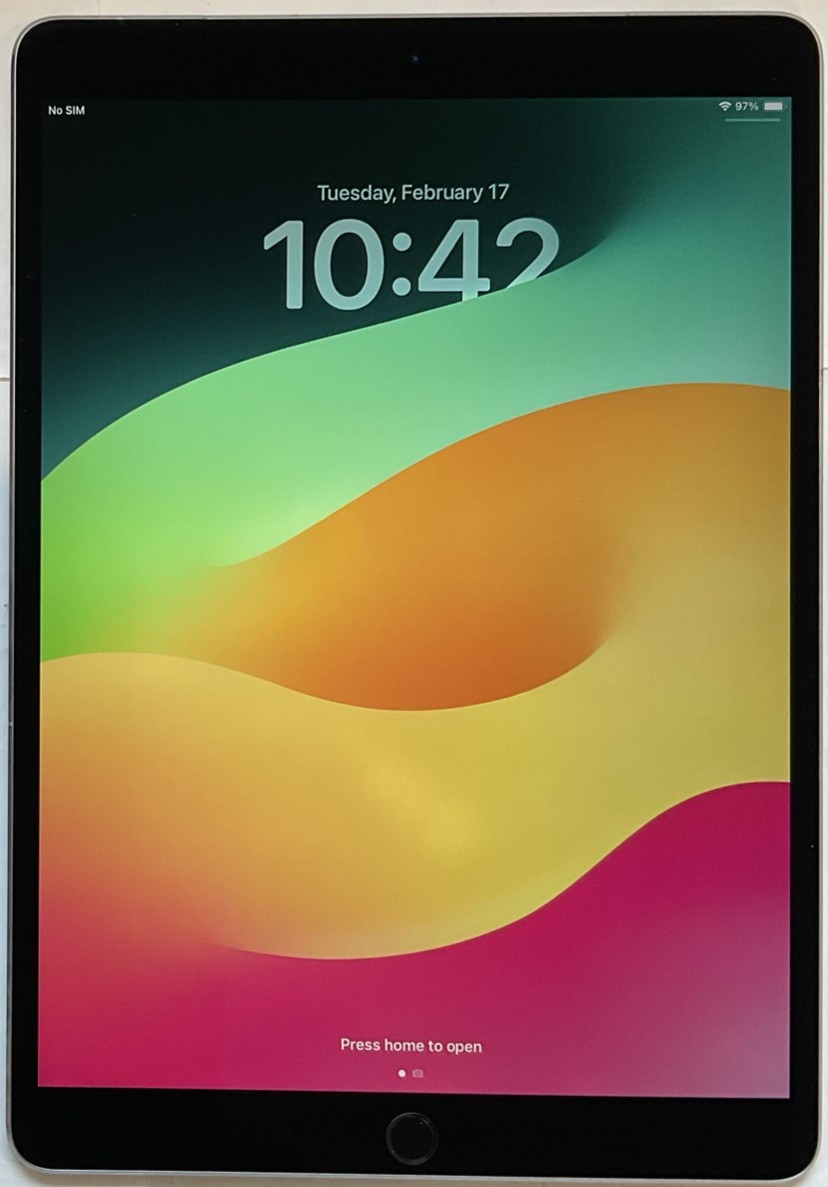 GSM UNLOCKED GRAY Wi-Fi + 4G APPLE iPad PRO 1st GEN 10.5