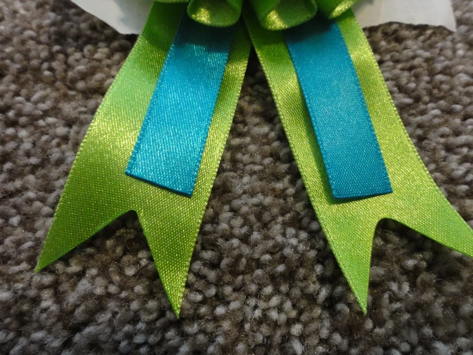 DISNEY TINKERBELL ЗЕЛЕНЫЙ БЛЕСТЯЩИЙ ДЕНЬ РОЖДЕНИЯ ВЕЧЕРИНКИ ЛЕНТА ЗНАЧОК САМОКЛЕЯЩИЙСЯ - Изображение 3 из 4