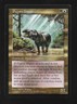 MTG Visions Pygmy Hippo