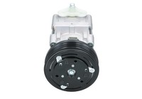 BV PSH Kompressor, Klimaanlage 090.595.006.020 FüR Ford Jaguar Mazda