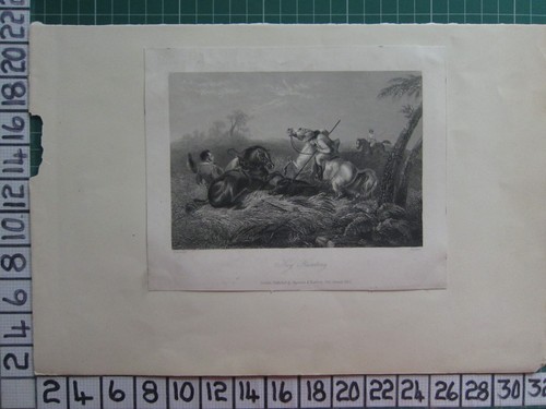 1857 DATED ANTIQUE DOUBLE SIDED PRINT ~ RETURN FROM THE MOORS ~ HOG HUNTING - Picture 3 of 4