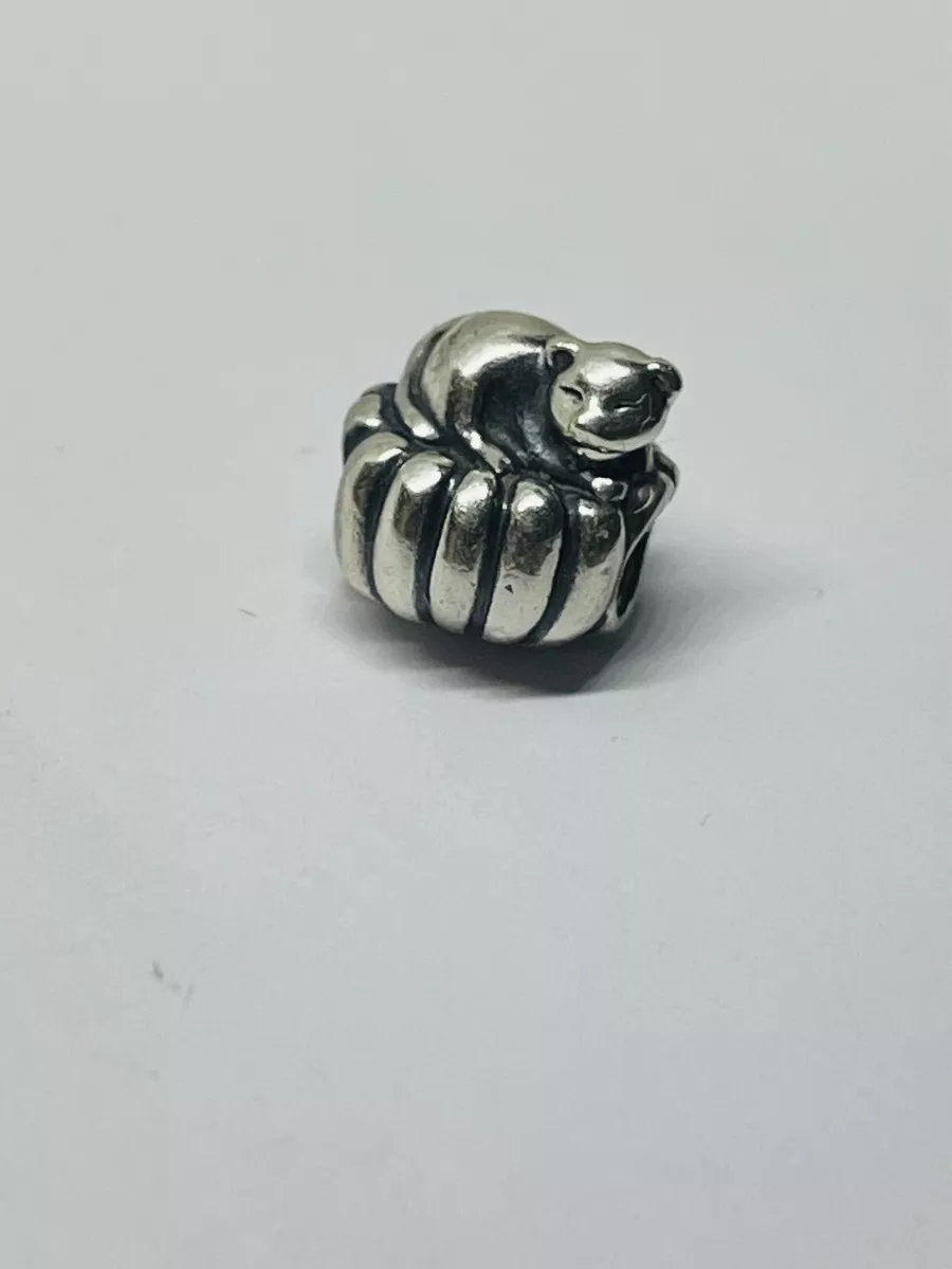 Pretty clearance pandora online