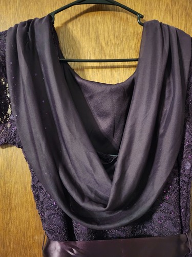 Gorgeous Evening Gown Eggplant Purple Embellished Sparkly Size 18W 2X Onyx Night - Picture 7 of 9