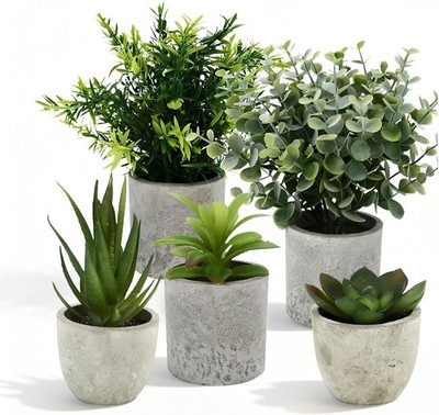 5 Stück Künstliche Sukkulenten Pflanzen Set Mini Agave Eagle Claw Aloe Bürodeko