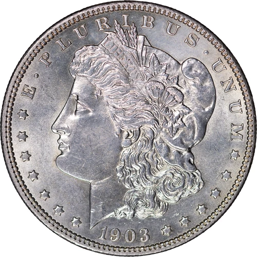 1903 $1 Morgan Silver Dollar ~ UNC Details