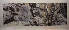 Janene GRENDE " Silence " Limited Edition art print COA Snowy OWL very rare