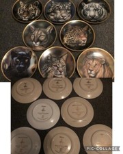 Big Cats of the World plate collection 