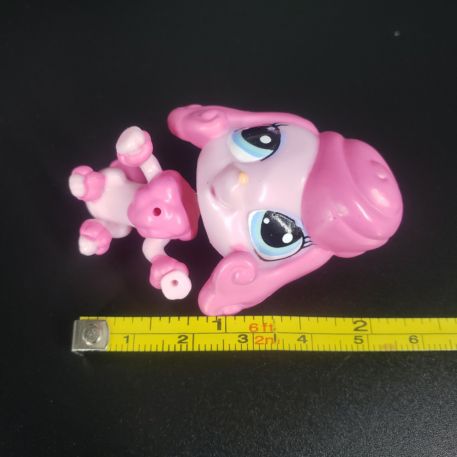 Picture 11 of 11