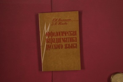 357587 Galina Andreevna Voloxina MORFOLOGICHESKAYA PARADIGMATIKA RUSSKOGO YAZY`K
