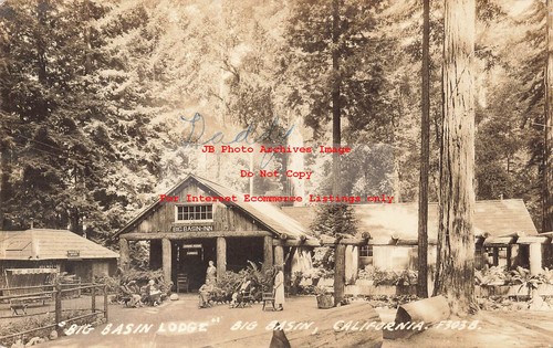 CA, Big Basin, California, RPPC, Big Basin Lodge, Photo No F303-B