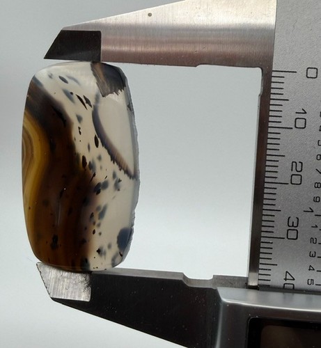 Montana Moss Agate cabochon, Yellowstone River stone