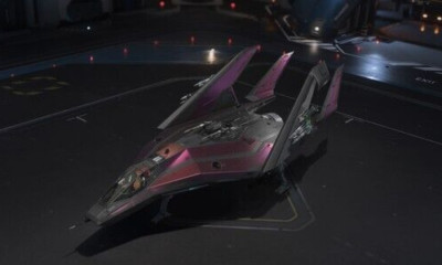 STAR CITIZEN PAINT - ANVIL ARROW LOVESTRUCK
