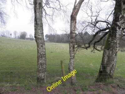 Photo 6x4 Trees, Kiltamnagh Blackfort Looking north-west c2013