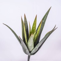 Artplants KüNstliche Aloe Vera, 15 BläTter, GrüN, Auf Steckstab, 35Cm