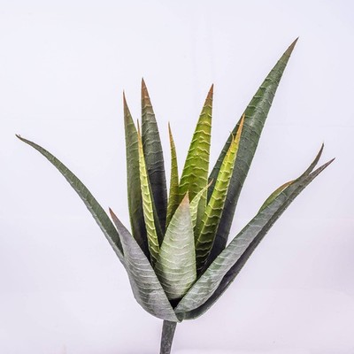 artplants Künstliche Aloe Vera, 15 Blätter, grün, auf Steckstab, 35cm