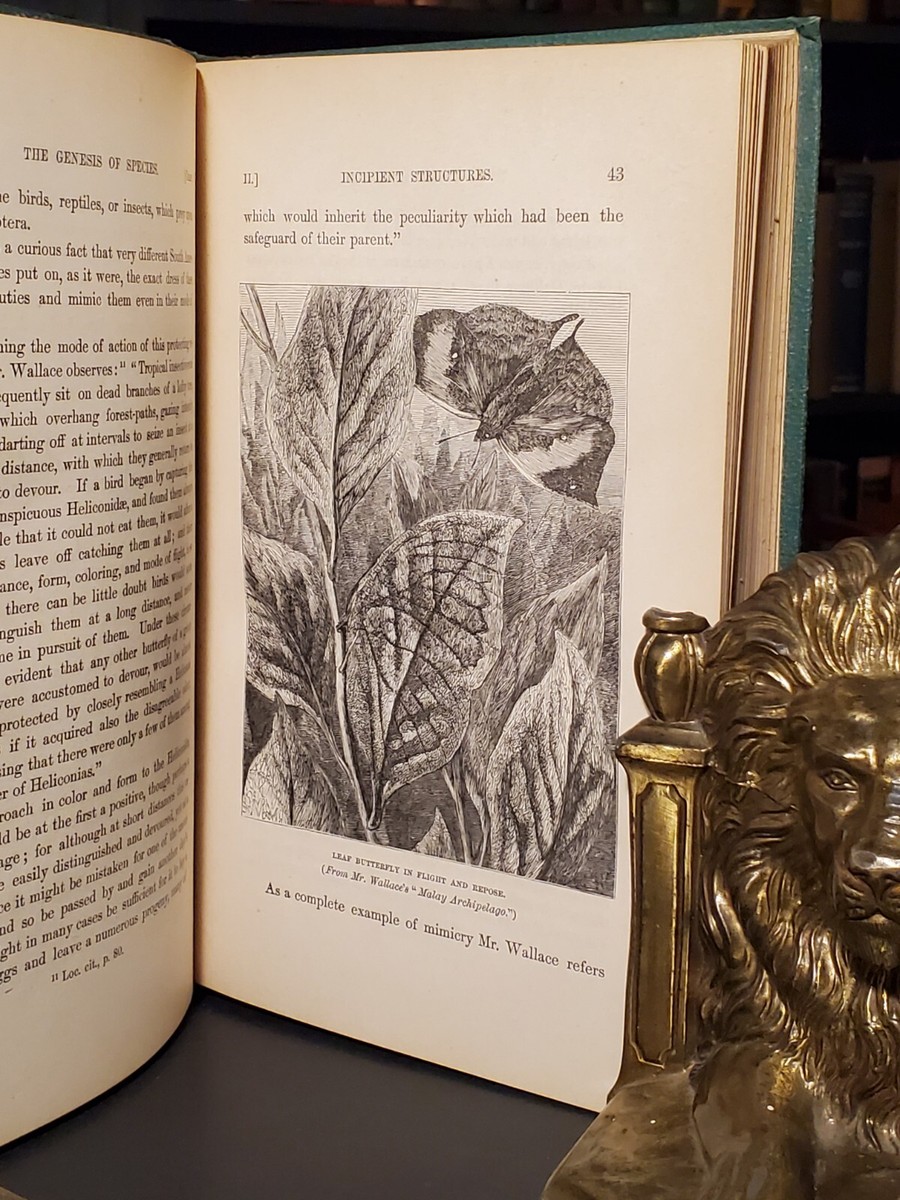 洋書 THE GENESIS OF SPECIES MIVART 1871 The Genesis Of Species 1871 By Mivart 1st Edition Illustrated