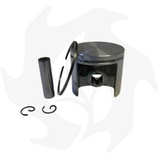 PISTONE ALPINA  VIP 40  cod BG 011614