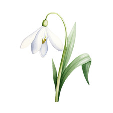 XXL 18X18 Autoaufkleber Schneeglöckchen Aufkleber Wetterfester Vinyl Sticker