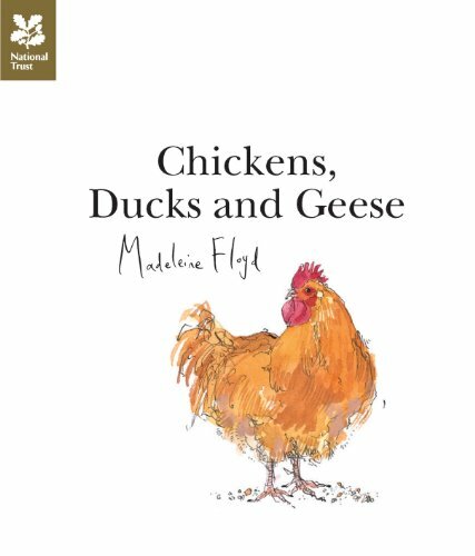 Chickens, Ducks and Geese By Madeleine Floyd