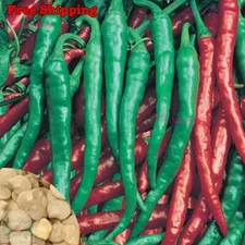 Cayenne Pepper, Cayenne Long Slim Red Pepper, Long Thin Red Hot Pepper Seeds