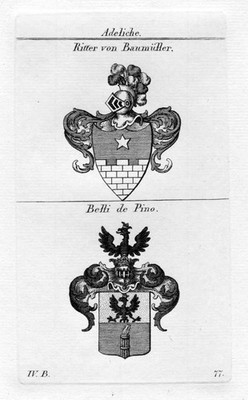 Baumüller Belli de Pino - Wappen Adel coat of arms heraldry Heraldik