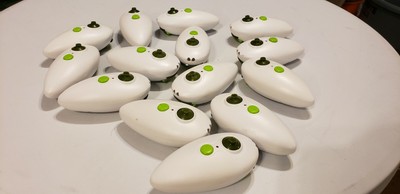 zoomer dino remote replacement