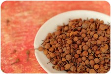Nagkesar Seeds Organic Nagkesar Mesua Ferrea Ceylon Ironwood - Free Shipping